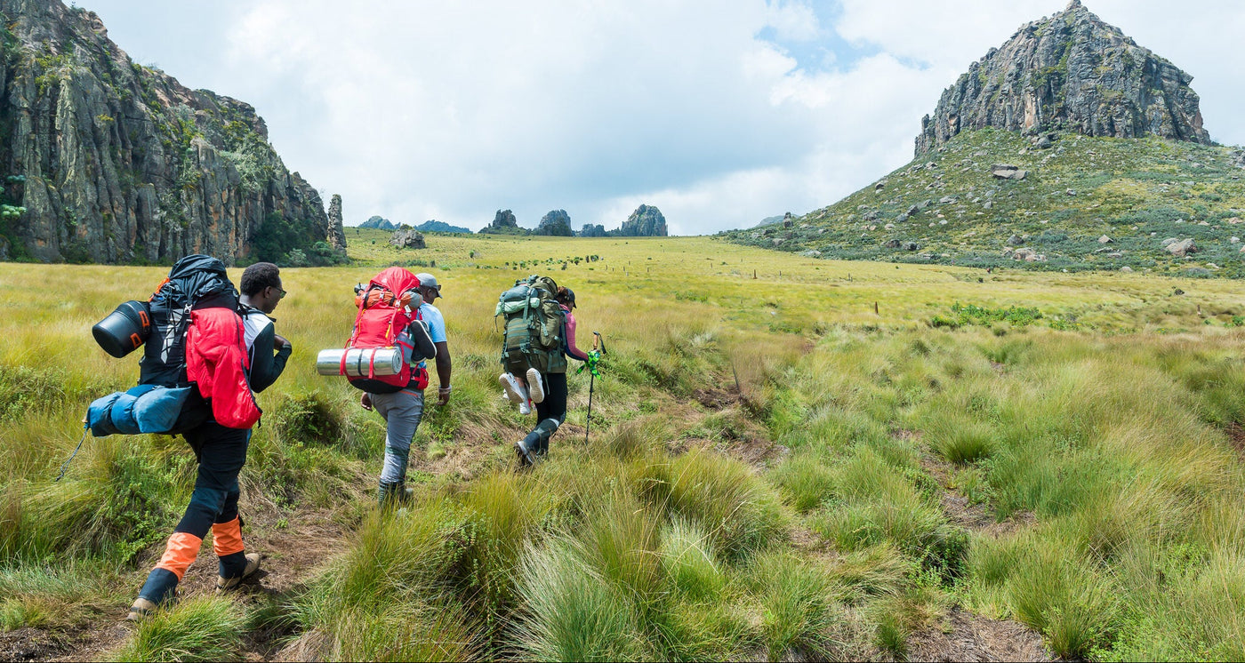 Group of hikers with backpacks walking through a grassy landscape with mountains in the background.