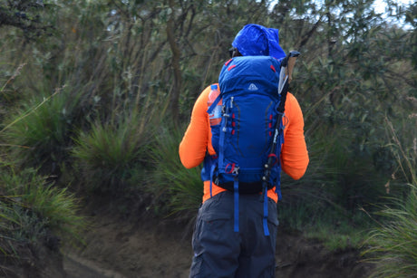 Hiking Bags